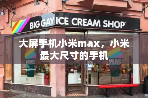 大屏手机小米max，小米最大尺寸的手机-第1张图片-星选测评