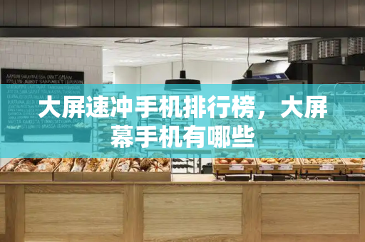 大屏速冲手机排行榜，大屏幕手机有哪些
