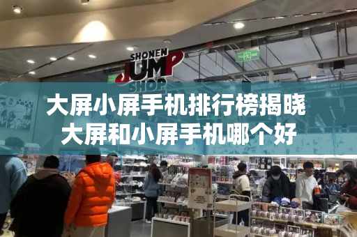 大屏小屏手机排行榜揭晓 大屏和小屏手机哪个好-第1张图片-星选测评