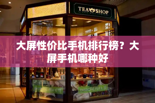 大屏性价比手机排行榜？大屏手机哪种好-第1张图片-星选测评
