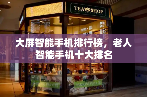 大屏智能手机排行榜，老人智能手机十大排名-第1张图片-星选测评