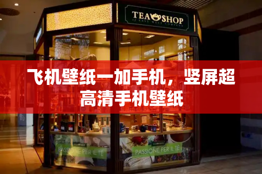 飞机壁纸一加手机，竖屏超高清手机壁纸