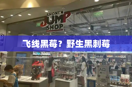 飞线黑莓？野生黑刺莓-第1张图片-星选测评