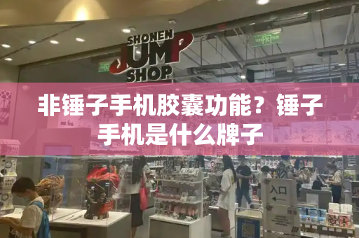 非锤子手机胶囊功能？锤子手机是什么牌子-第1张图片-星选测评