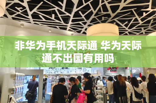 非华为手机天际通 华为天际通不出国有用吗-第1张图片-星选测评
