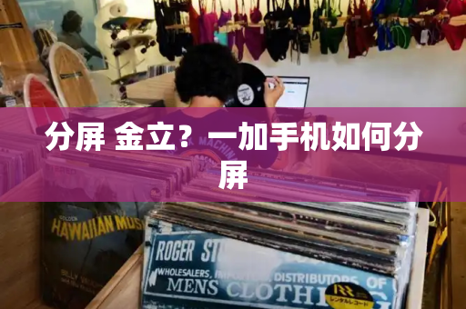 分屏 金立？一加手机如何分屏-第1张图片-星选测评