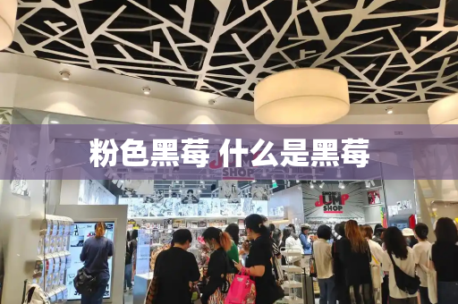 粉色黑莓 什么是黑莓