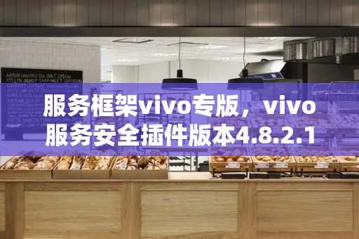 服务框架vivo专版，vivo服务安全插件版本4.8.2.1