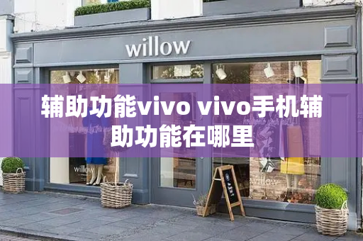 辅助功能vivo vivo手机辅助功能在哪里-第1张图片-星选测评