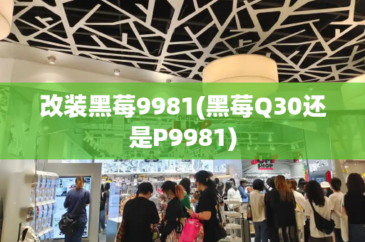 改装黑莓9981(黑莓Q30还是P9981)-第1张图片-星选测评