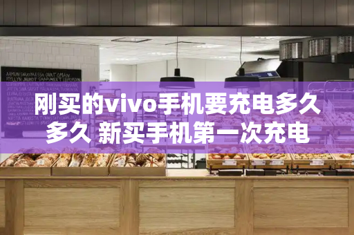 刚买的vivo手机要充电多久多久 新买手机第一次充电充多久