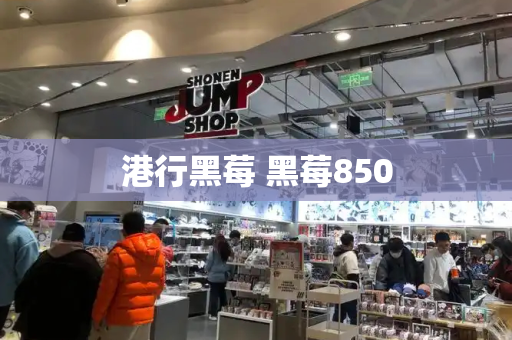 港行黑莓 黑莓850-第1张图片-星选测评