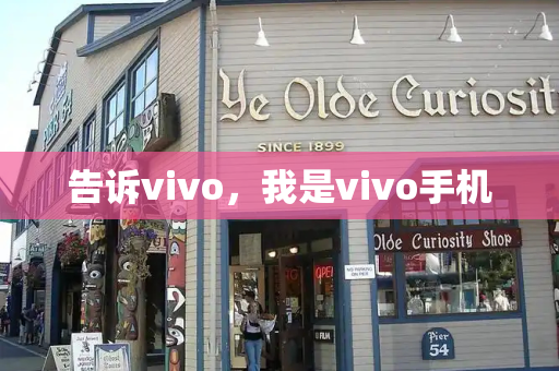 告诉vivo，我是vivo手机-第1张图片-星选测评