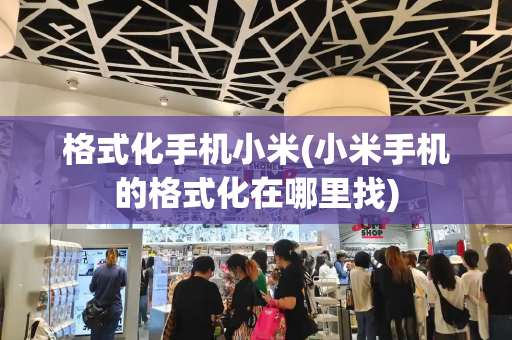 格式化手机小米(小米手机的格式化在哪里找)