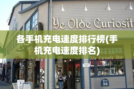 各手机充电速度排行榜(手机充电速度排名)