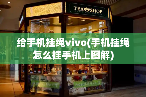 给手机挂绳vivo(手机挂绳怎么挂手机上图解)-第1张图片-星选测评