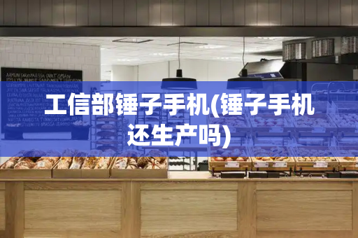工信部锤子手机(锤子手机还生产吗)-第1张图片-星选测评