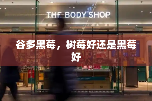 谷多黑莓，树莓好还是黑莓好