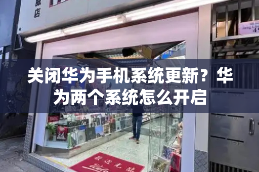 关闭华为手机系统更新？华为两个系统怎么开启-第1张图片-星选测评