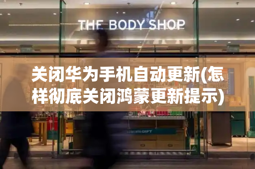 关闭华为手机自动更新(怎样彻底关闭鸿蒙更新提示)-第1张图片-星选测评