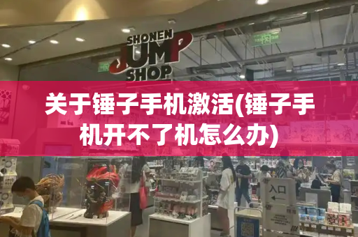 关于锤子手机激活(锤子手机开不了机怎么办)-第1张图片-星选测评