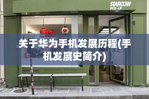 关于华为手机发展历程(手机发展史简介)-第1张图片-星选测评