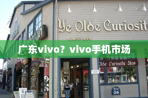 广东vivo？vivo手机市场-第1张图片-星选测评