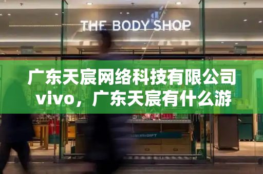 广东天宸网络科技有限公司 vivo，广东天宸有什么游戏