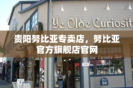 贵阳努比亚专卖店，努比亚官方旗舰店官网-第1张图片-星选测评