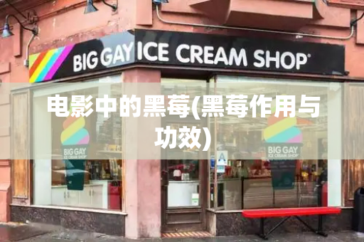 电影中的黑莓(黑莓作用与功效)