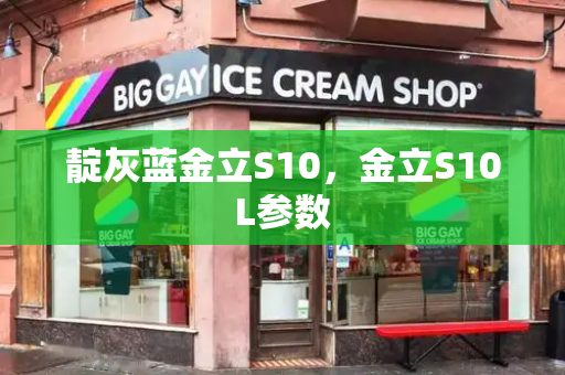 靛灰蓝金立S10，金立S10L参数-第1张图片-星选测评