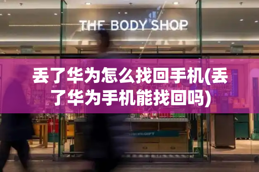 丢了华为怎么找回手机(丢了华为手机能找回吗)-第1张图片-星选测评