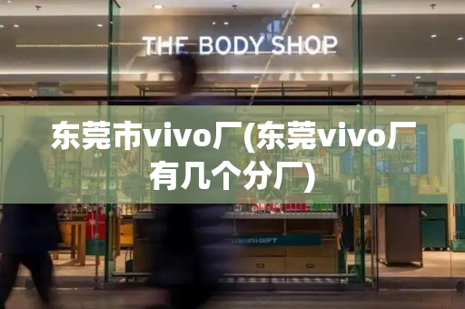 东莞市vivo厂(东莞vivo厂有几个分厂)
