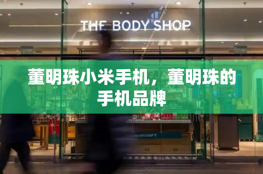 董明珠小米手机，董明珠的手机品牌