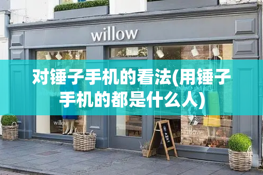 对锤子手机的看法(用锤子手机的都是什么人)-第1张图片-星选测评