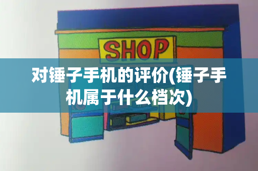 对锤子手机的评价(锤子手机属于什么档次)