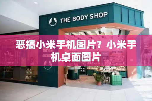 恶搞小米手机图片？小米手机桌面图片
