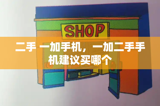二手 一加手机，一加二手手机建议买哪个