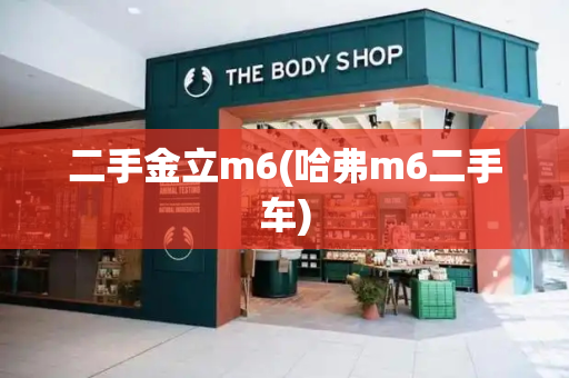 二手金立m6(哈弗m6二手车)
