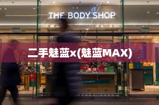 二手魅蓝x(魅蓝MAX)-第1张图片-星选测评