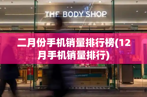 二月份手机销量排行榜(12月手机销量排行)