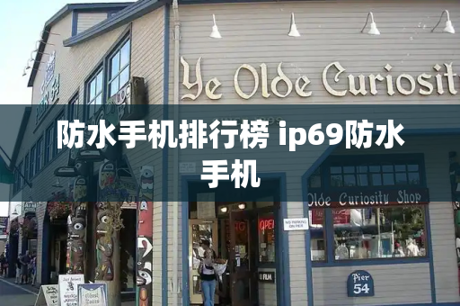 防水手机排行榜 ip69防水手机