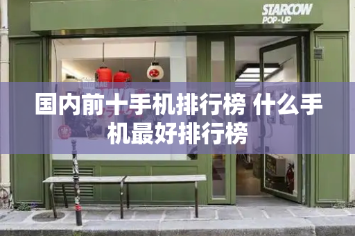 国内前十手机排行榜 什么手机最好排行榜-第1张图片-星选测评