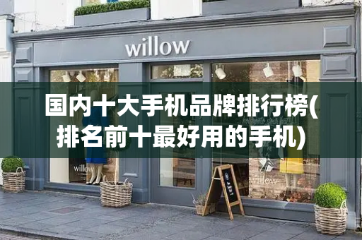 国内十大手机品牌排行榜(排名前十最好用的手机)