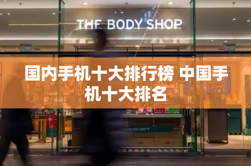 国内手机十大排行榜 中国手机十大排名-第1张图片-星选测评