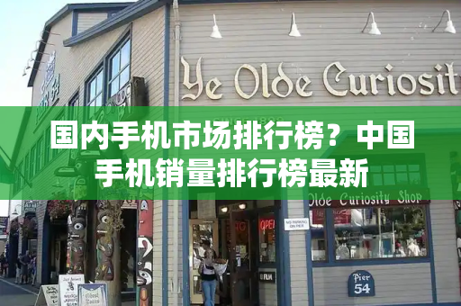 国内手机市场排行榜？中国手机销量排行榜最新-第1张图片-星选测评