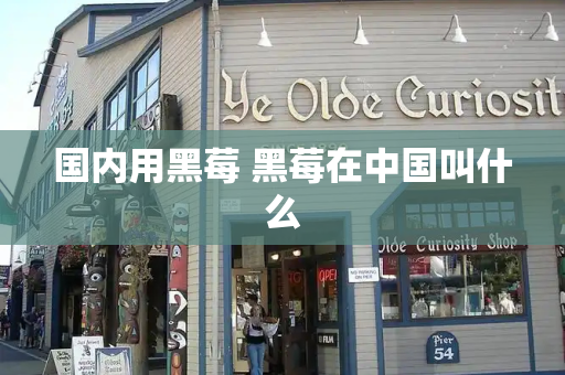 国内用黑莓 黑莓在中国叫什么