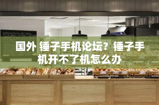 国外 锤子手机论坛？锤子手机开不了机怎么办-第1张图片-星选测评