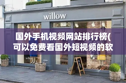 国外手机视频网站排行榜(可以免费看国外短视频的软件)