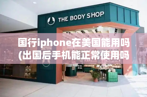 国行iphone在美国能用吗(出国后手机能正常使用吗)